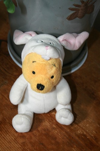 Easter bunny rabbit - bunny,