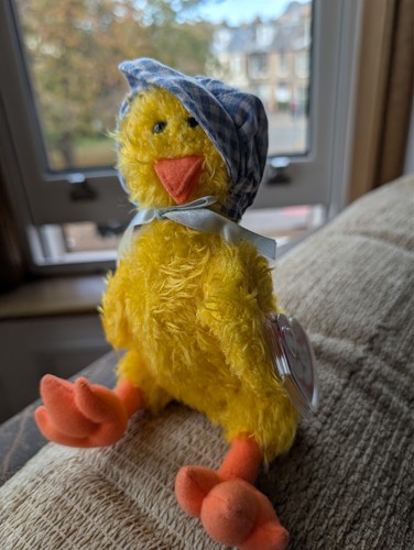 Beanie babies attic - ty,